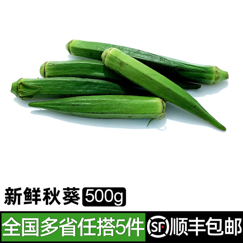 秋葵500g 新鲜蔬菜羊豆角家常炒菜凉拌食材 5件包邮