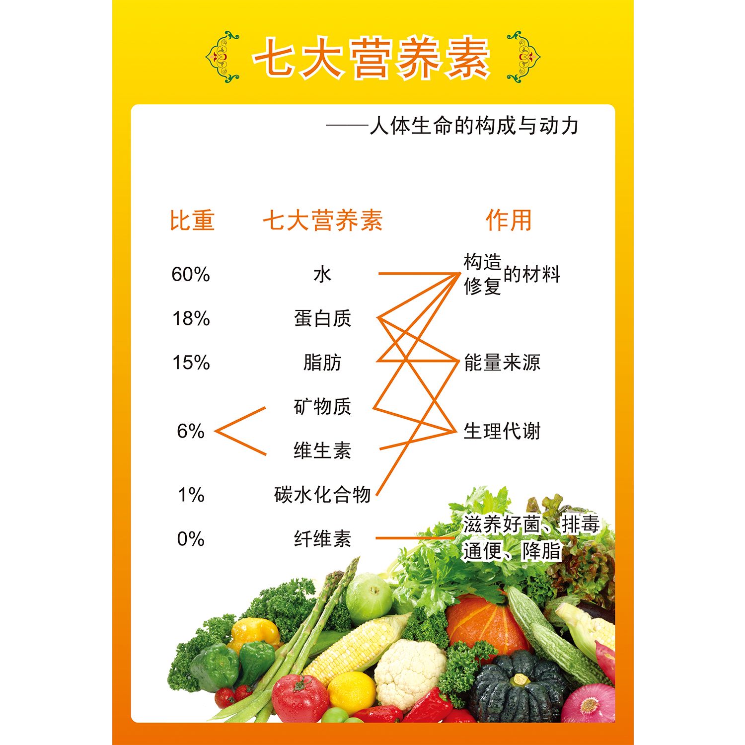 七大营养素人体生命的构成与动力海报展板中国居民平衡膳食宝塔