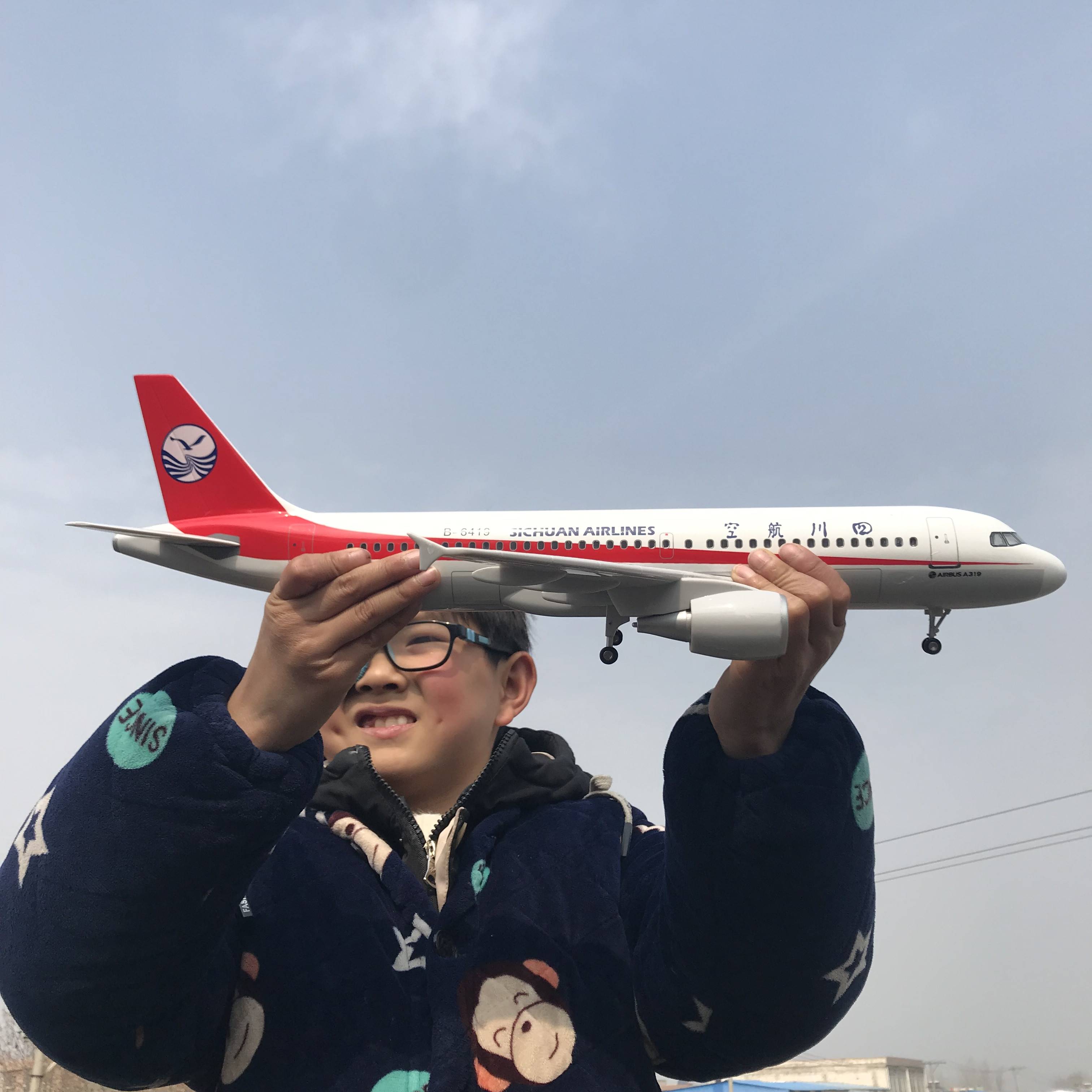 四川航空3u8633飞机模型航模仿真合金摆件A319玩具中国机长原客机