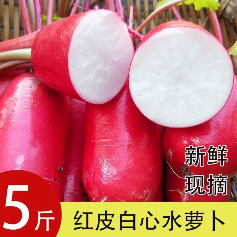 山东特产自种红皮萝卜5斤新鲜现摘白肉水萝卜泡菜胭脂3斤8斤小红