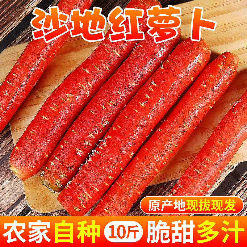 陕西沙地红萝卜10斤新鲜胡萝卜当季农家生吃水果红心罗卜蔬菜包邮