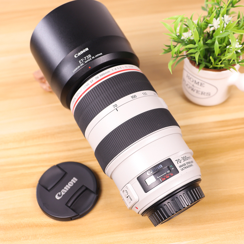 佳能 EF 70-300mm f4-5.6L IS USM 胖白 长焦红圈防抖镜头 远摄月