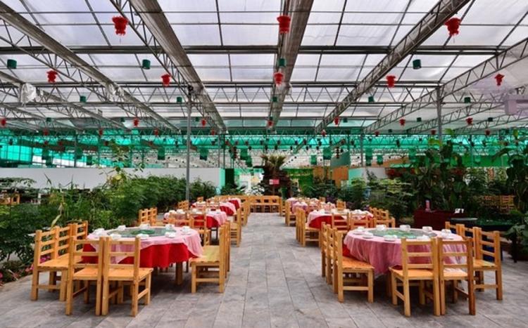 生态餐厅设计效果图 农业生态观光旅游餐厅饭店植物景观装饰艺术