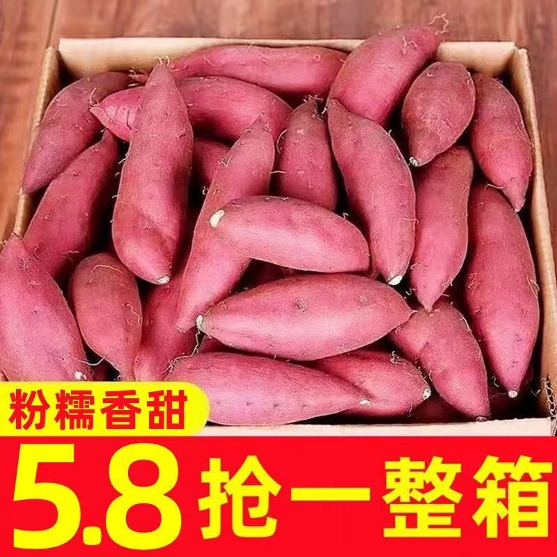 中超甜西瓜红蜜薯新鲜红薯板栗薯地瓜1/10斤番薯蔬菜正宗沙地软糯