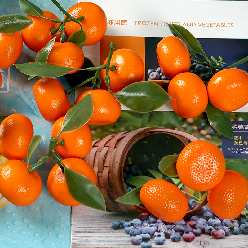 仿真水果模型假蔬菜仿真橙子桔子橘子砂糖桔装饰摆设摄影幼教道具