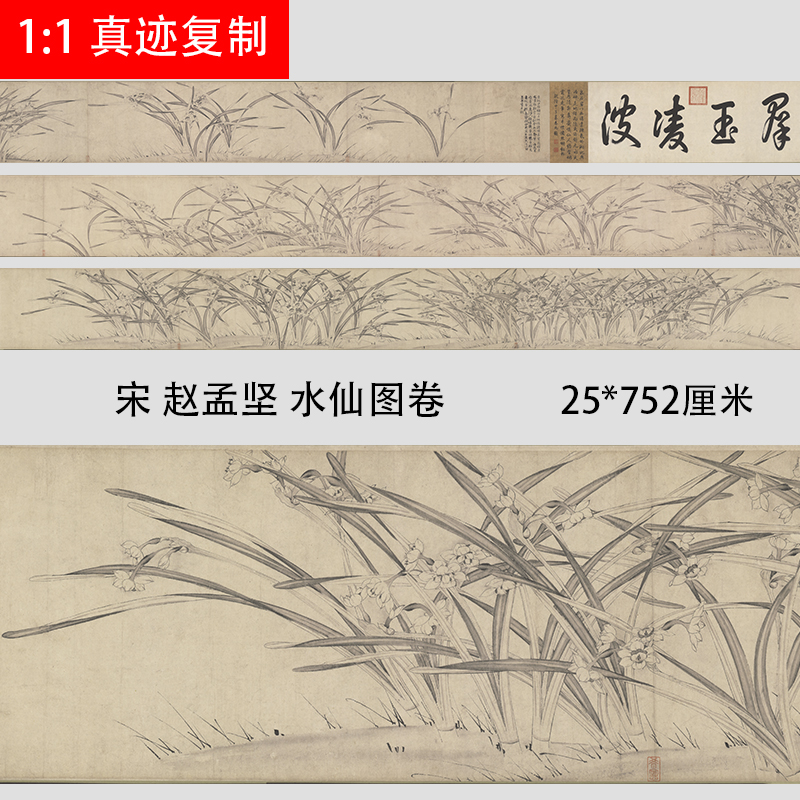 宋 赵孟坚 水仙图卷古代名家水墨植物花卉画国画微喷复制长卷画稿