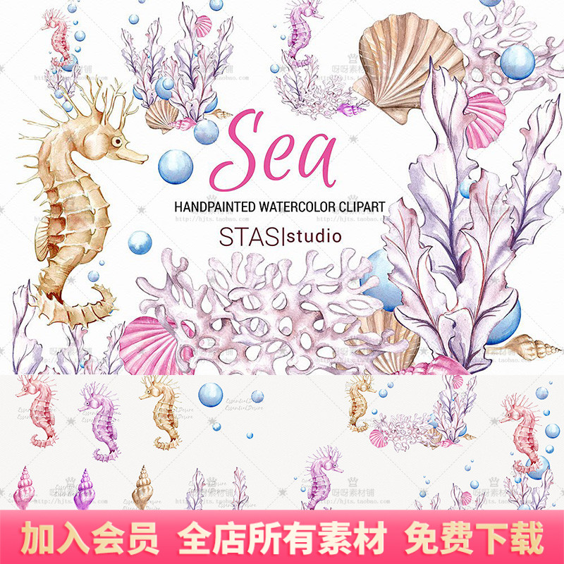 手绘水彩海洋生物海马贝壳珊瑚海螺卡片海报装饰PNG免扣设计素材