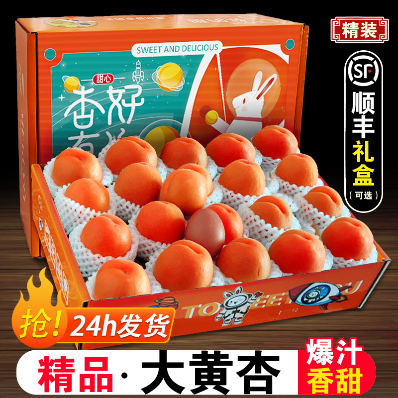 陕西大黄杏子新鲜水果5斤当季整箱礼盒金太阳杏孕妇香甜多汁杏子