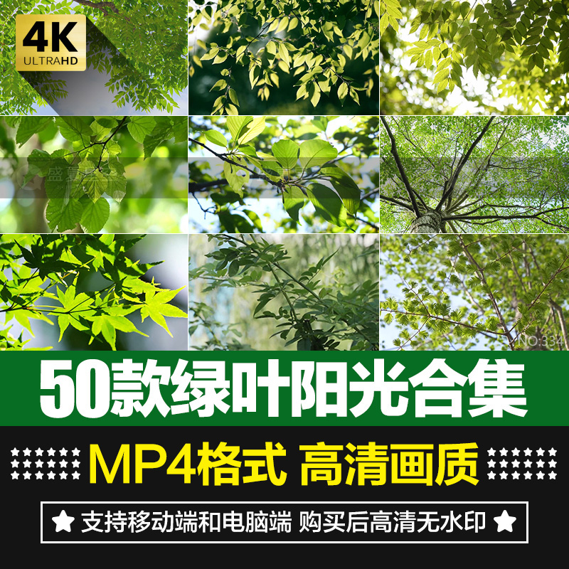 绿色小清新阳光穿透树叶自然美景森林治愈情感背景短片4K视频素材