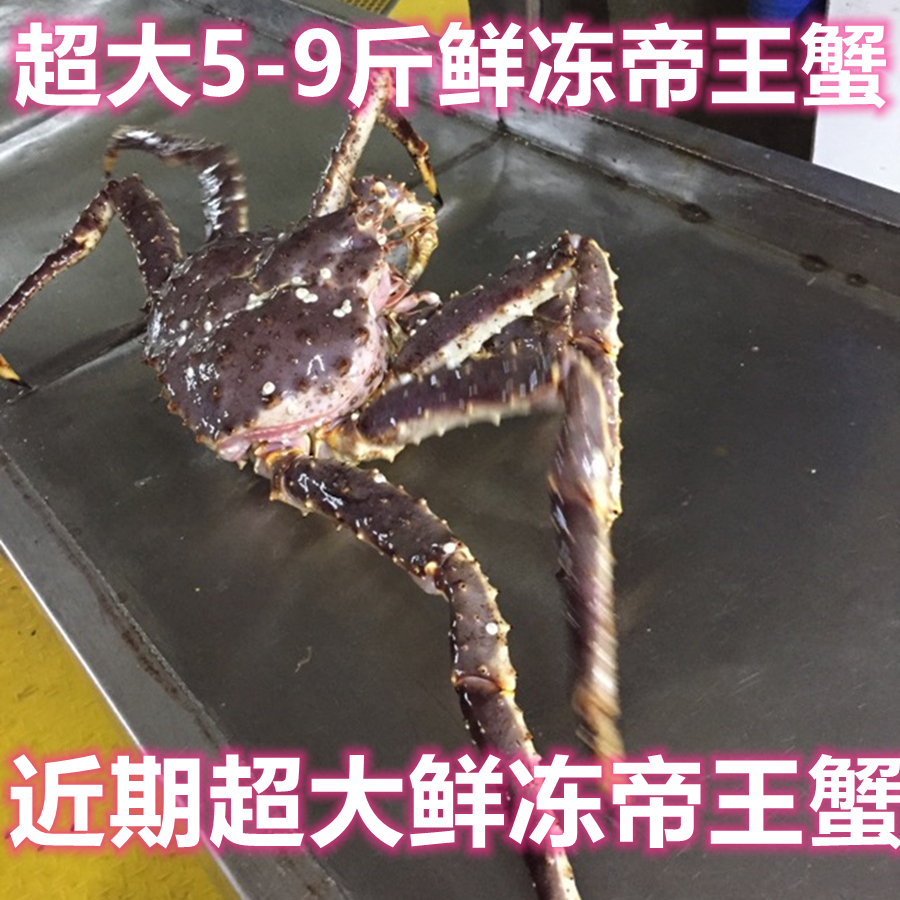 (3.5-9)斤/只螃蟹帝王蟹海鲜水产鲜活特大冰鲜活冻帝王蟹长脚蟹