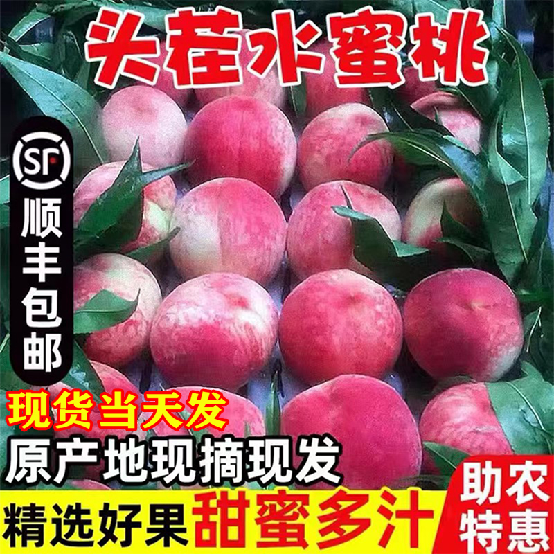 桃子新鲜水果当季整箱10斤脆甜红心红肉血桃水蜜桃毛桃时令5现摘