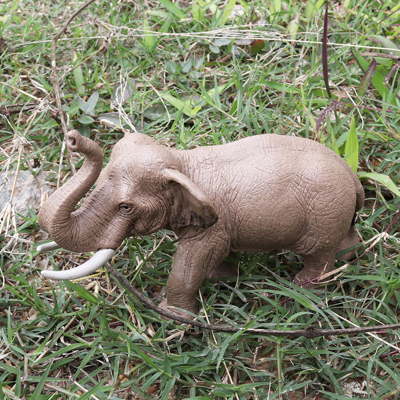 儿童仿真野生动物象静态模型玩具 亚洲公象 新大象实心手办摆件