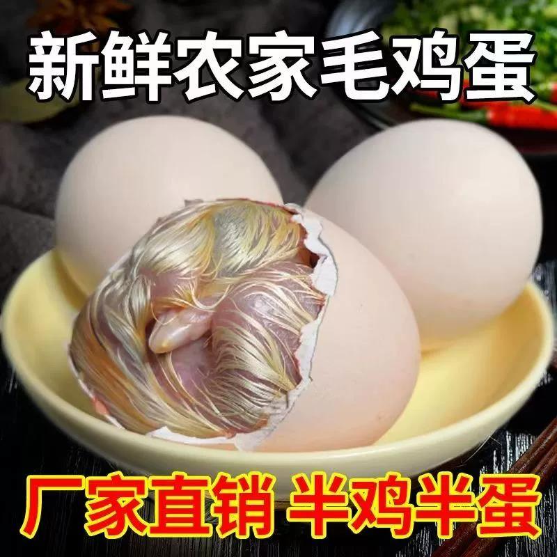 新鲜毛蛋半鸡半蛋可选15到20天毛鸡蛋喜蛋胚胎蛋全毛烧烤油煎美味