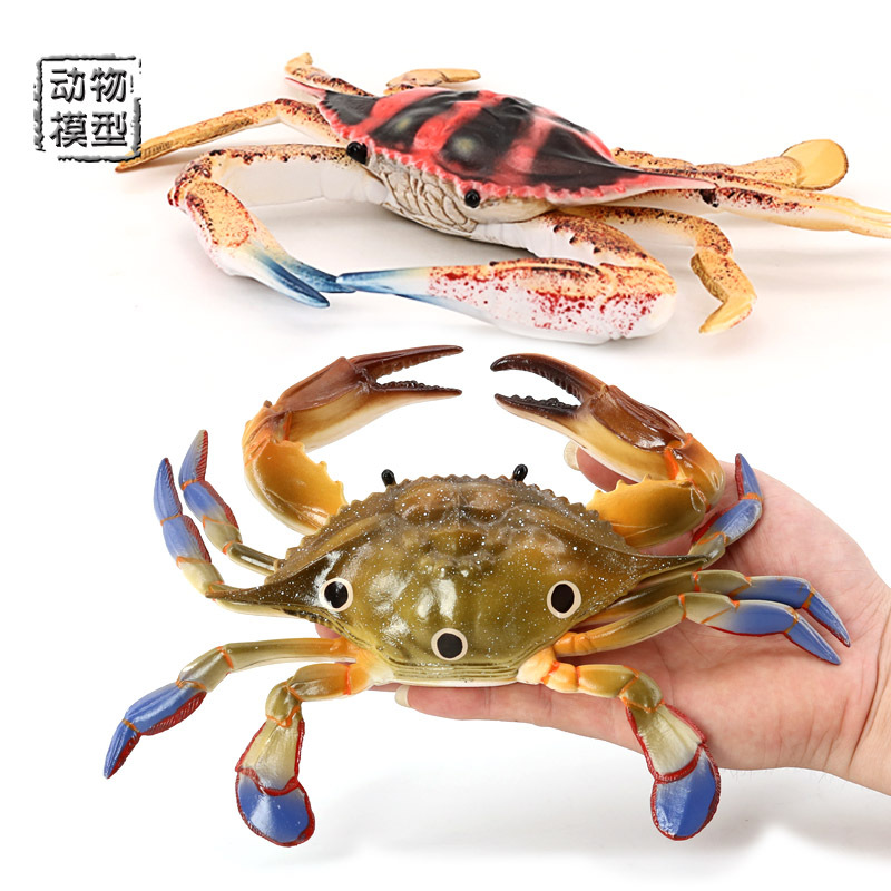 大螃蟹模型三眼蟹红星梭子蟹红花蟹海螃蟹海洋动物摆件儿童玩具偶
