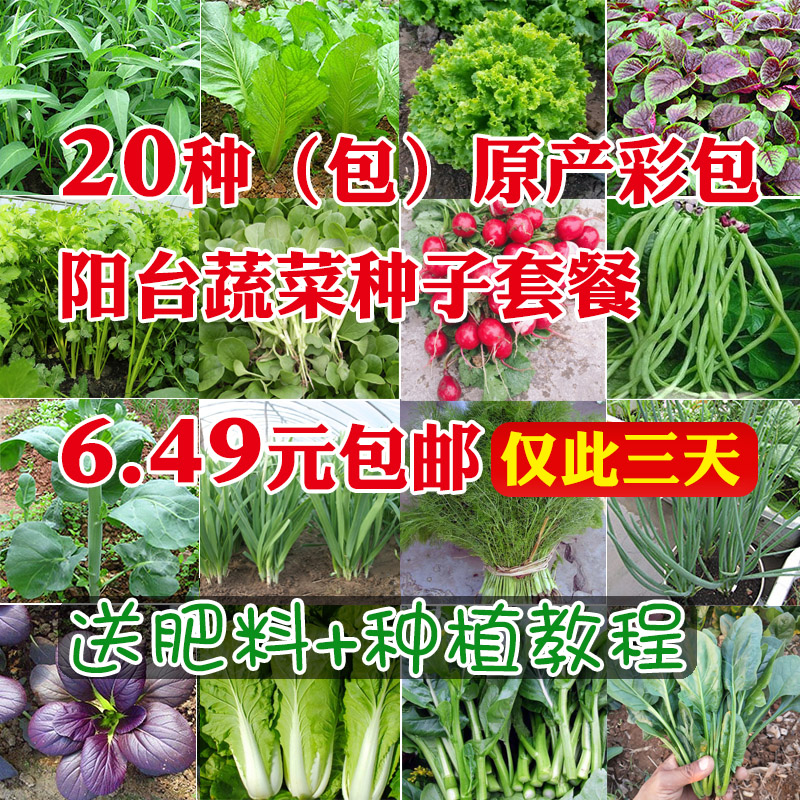 20种蔬菜种大全种子四季套餐盆栽种籽春季夏秋冬季种青菜种孑阳台