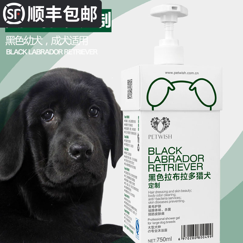 黑色拉布拉多犬专用狗狗沐浴露杀菌除臭止痒宠物洗澡用品香波浴液
