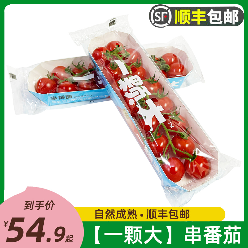 一颗大串番茄198g/盒 串收红樱桃千禧小番茄西红柿水果顺丰包邮