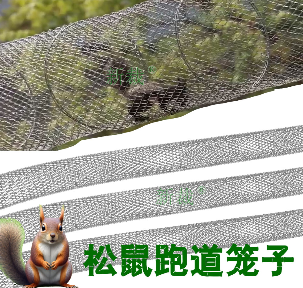 松鼠跑道笼子隧道跑笼公园动物园空中展示不锈钢拉伸通道丝网笼子