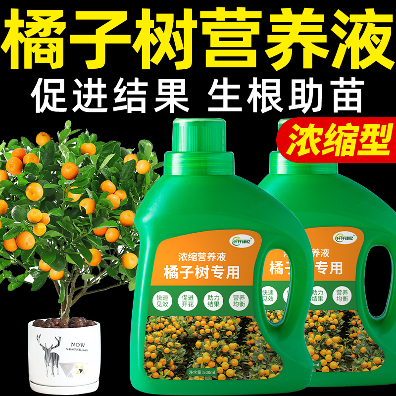 桔子树专用肥橘子肥料金桔营养液柑橘水溶沃柑盆栽果树开花结果用