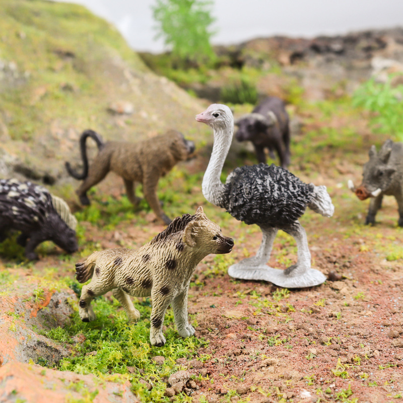 仿真迷你非洲动物模型野生狮子鸵鸟水牛猩猩刺猬羚羊痣猪玩具