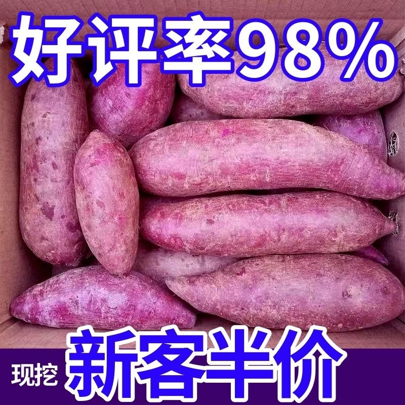 香甜紫薯沙地10斤新鲜紫罗兰红薯蜜薯紫地瓜蔬菜批发1斤紫心
