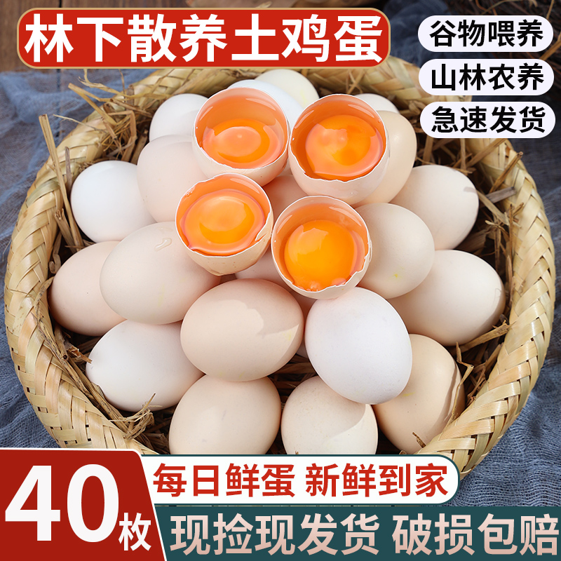 新鲜土鸡蛋农家散养正宗草鸡蛋笨柴鸡蛋孕妇柴鸡蛋40枚整箱禽蛋