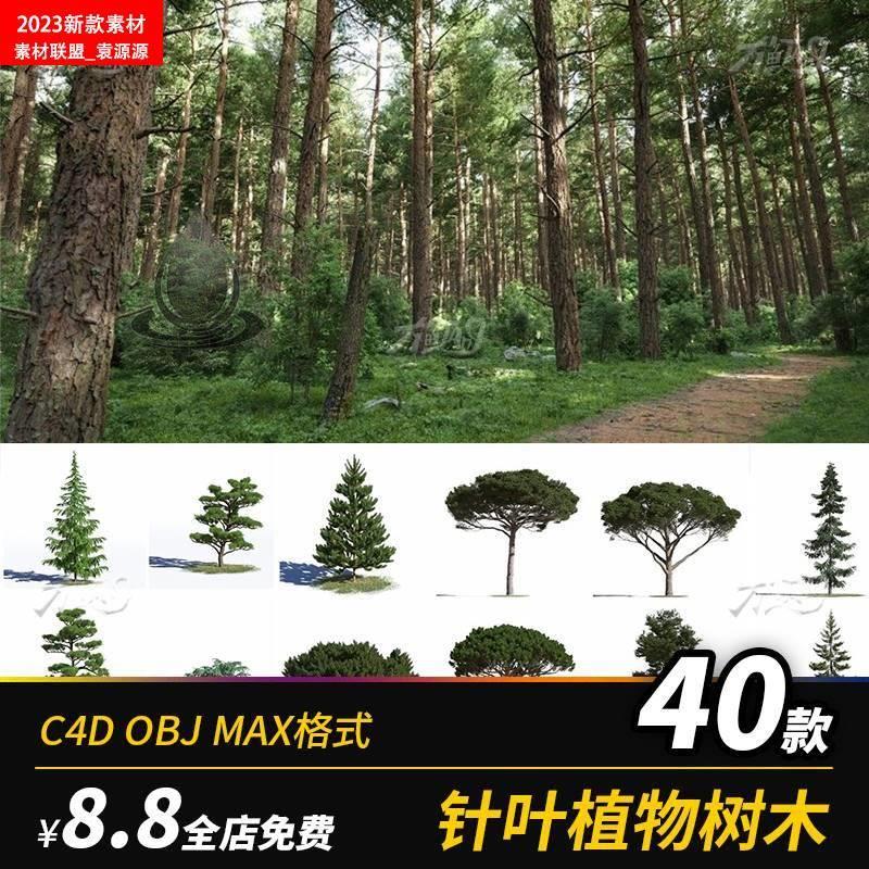 C4D高精度针叶松树柏树OBJ模型园林景观风景设计3D观赏树木素材