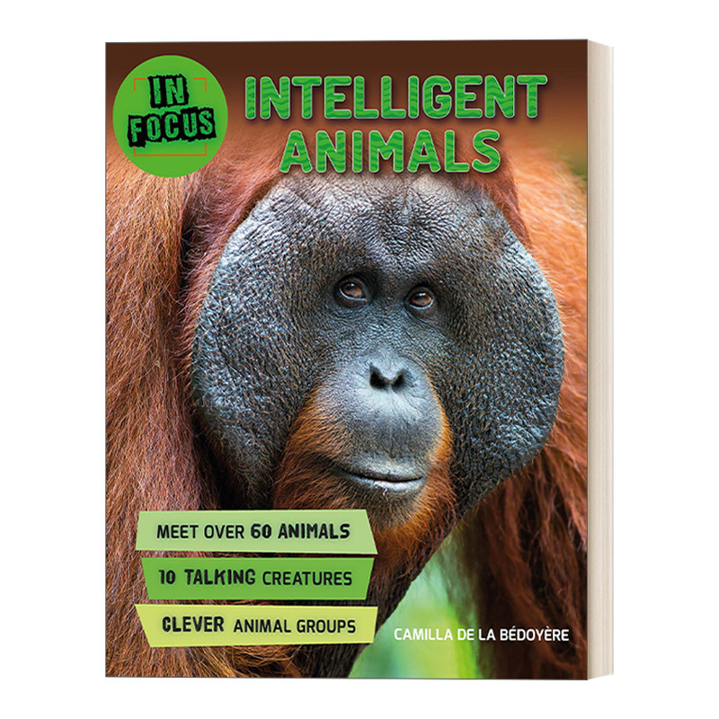 英文原版绘本 In Focus Intelligent Animals 聚焦 聪明的动物 精装 英文版 进口英语原版书籍