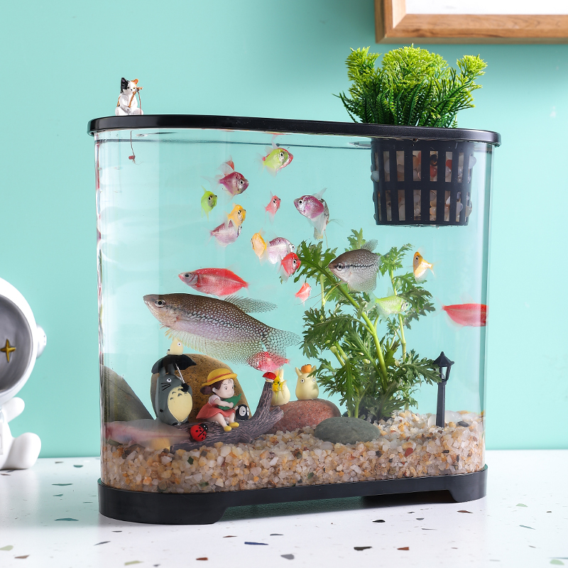 高清透明鱼缸带盖创意桌面生态缸造景缸办公家用金鱼缸水族箱