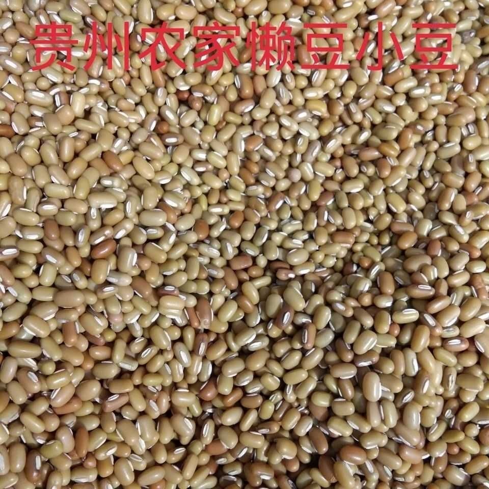 贵州特产农家自种懒豆米饭豆米巴山豆竹豆小豆米五谷杂粮包邮