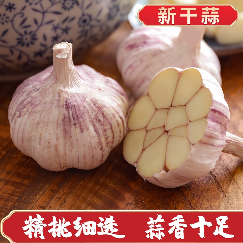 新干蒜大蒜头优质大蒜1斤-5斤新紫白皮新鲜嫩蒜特大鲜嫩生鲜