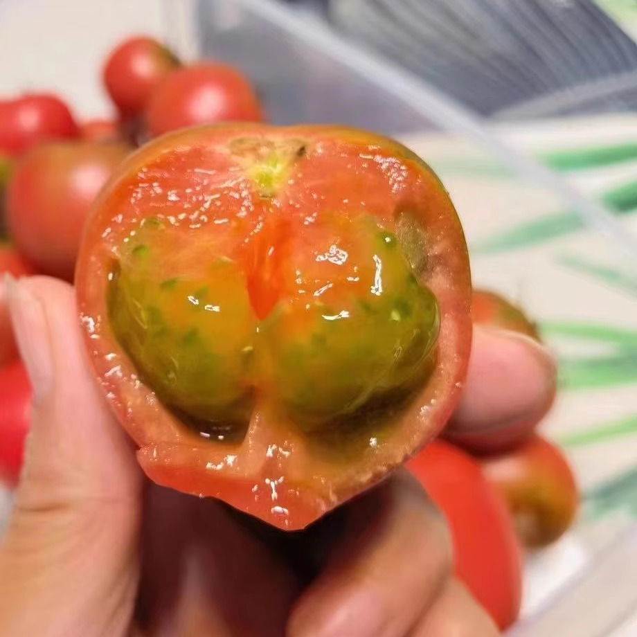 山东烟台海阳戴安娜草莓绿腚西红柿酸甜口感小番茄4.5斤包邮