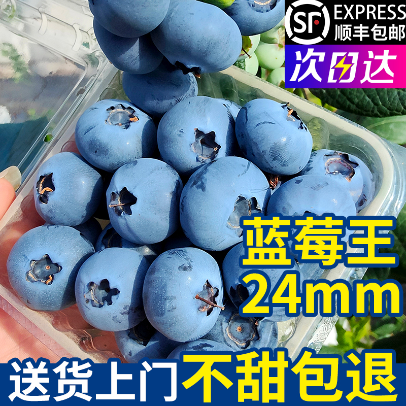 蓝莓鲜果山地高原新鲜蓝莓王孕妇水果盒装应当季水果现摘现发整箱