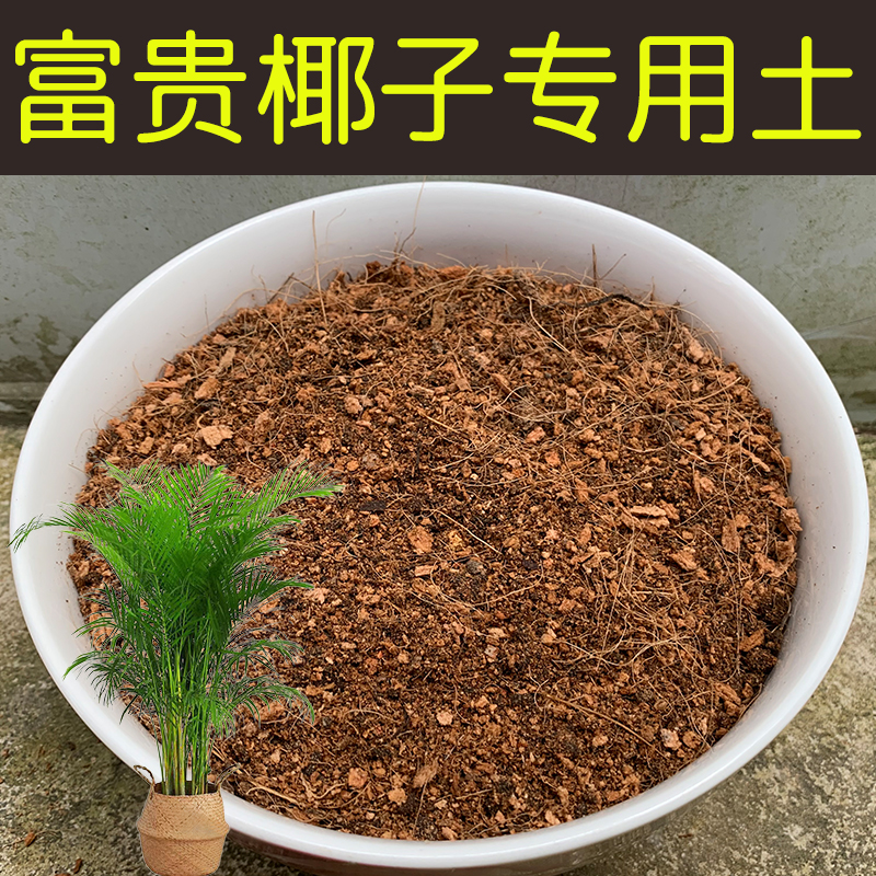 富贵椰子专用土酸性配方营养土盆栽型花卉盆景红土壤有机花土花肥