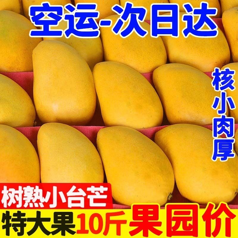 海南小台农芒果新鲜10斤小台芒应季时令水果当季整箱大果包邮单果