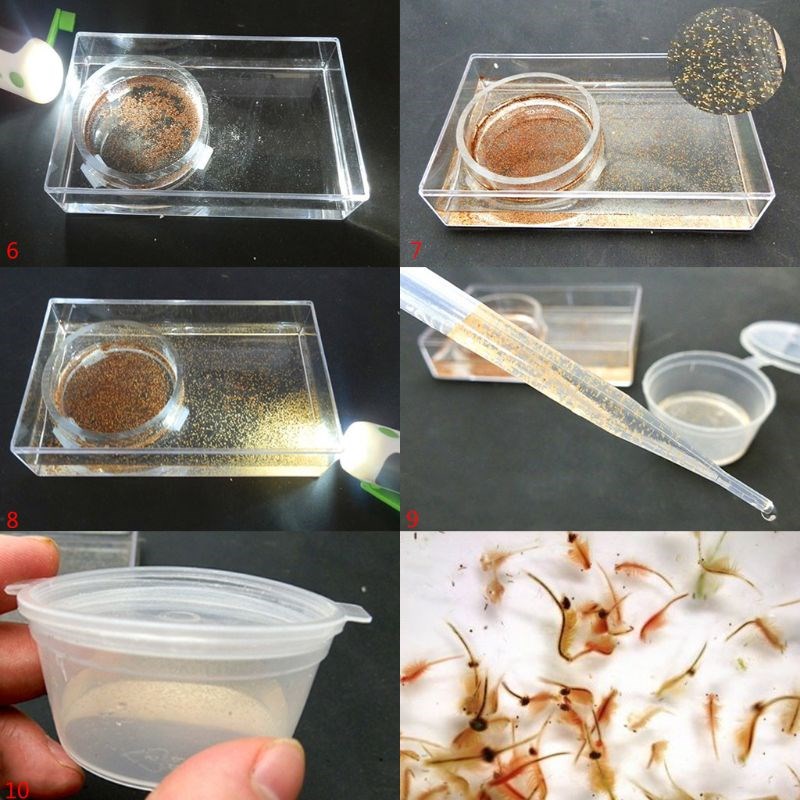 OOTDTY 1 Set Aquarium Shrimp Incubator Kit Brine Shrimp Egg