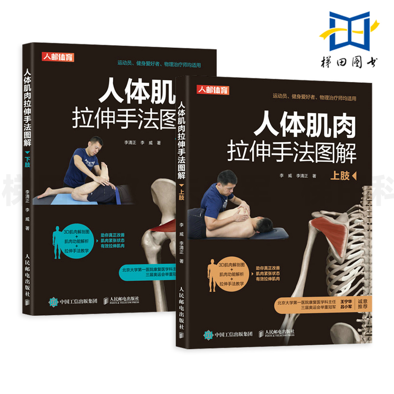 2册 人体肌肉拉伸手法图解 上下肢 改善运动功能障碍的物理治疗拉伸手法 拉伸技术 解剖功能体育锻炼教练培训教材书籍髋膝踝关节