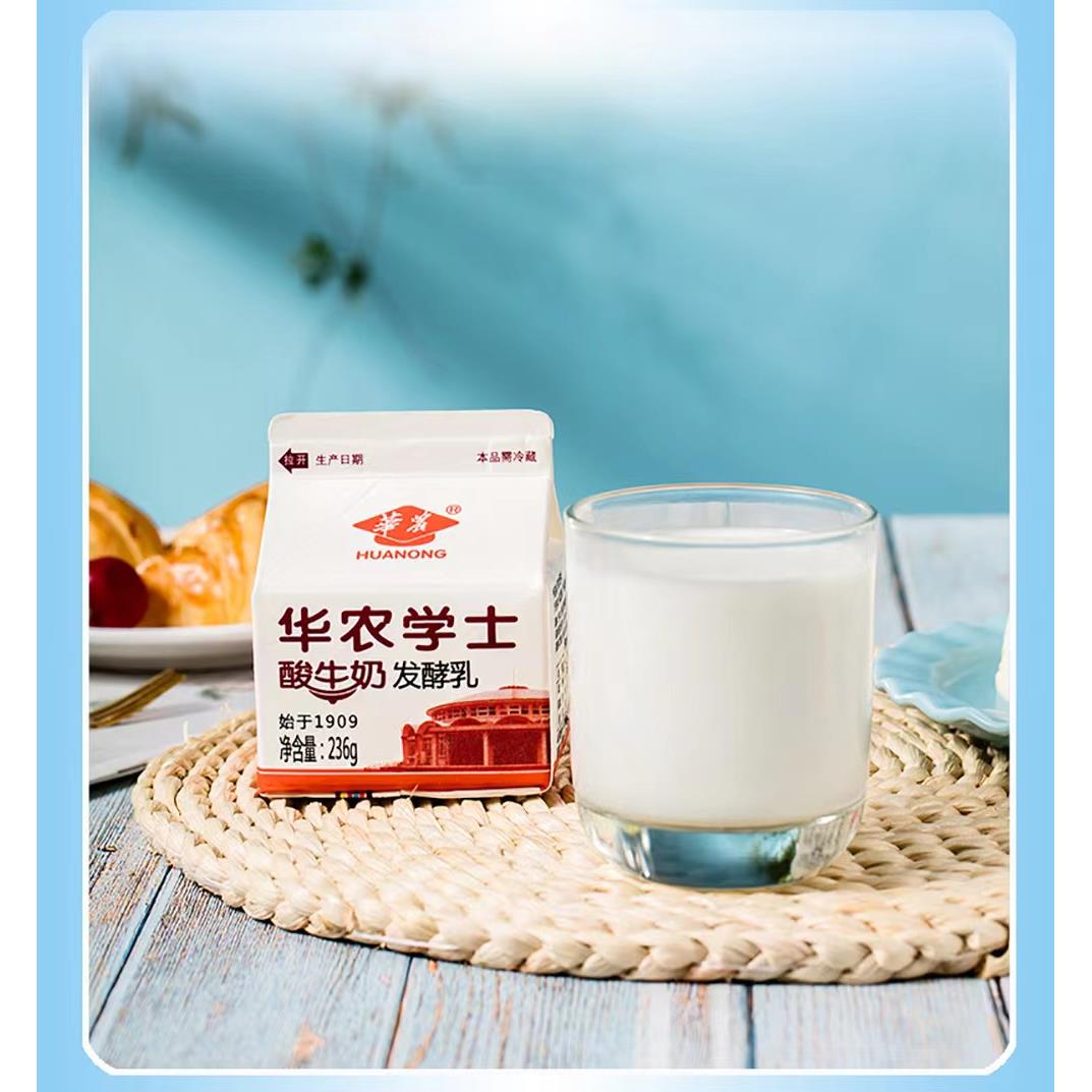 华农学士酸牛奶236ml*10盒加冰冷藏包邮广州网红酸奶