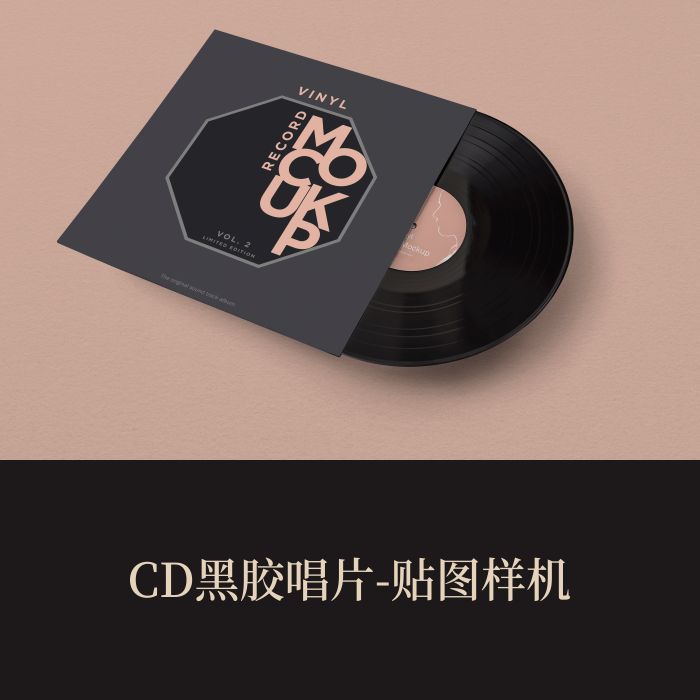 高端提案利器优质PSDCD黑胶唱片VI样机设计素材模板logo智能贴图