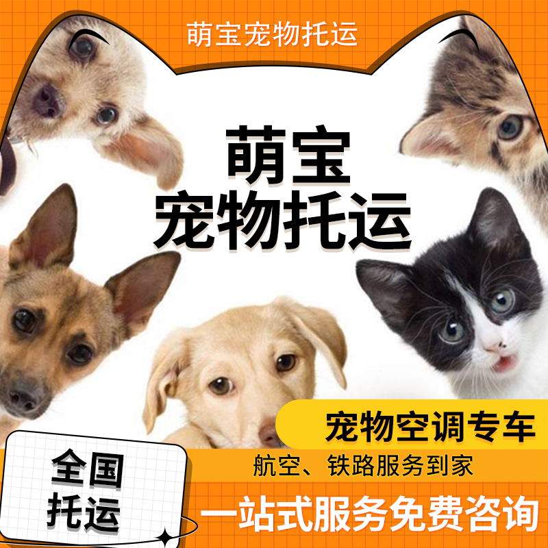 宠物托运服务全国猫咪狗狗空运火车汽运北京上海广州深圳国际邮寄