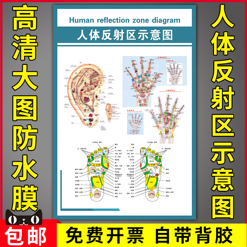 人体反射区示意图医院挂图画人体医学耳部足部手部神经穴位解剖图