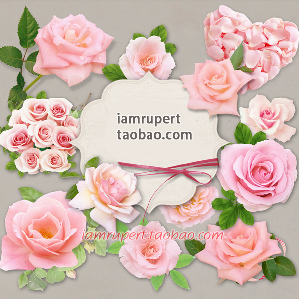 免扣PNG素材 高清淡雅唯美粉粉玫瑰月季蔷薇心型花朵装饰素材Y702
