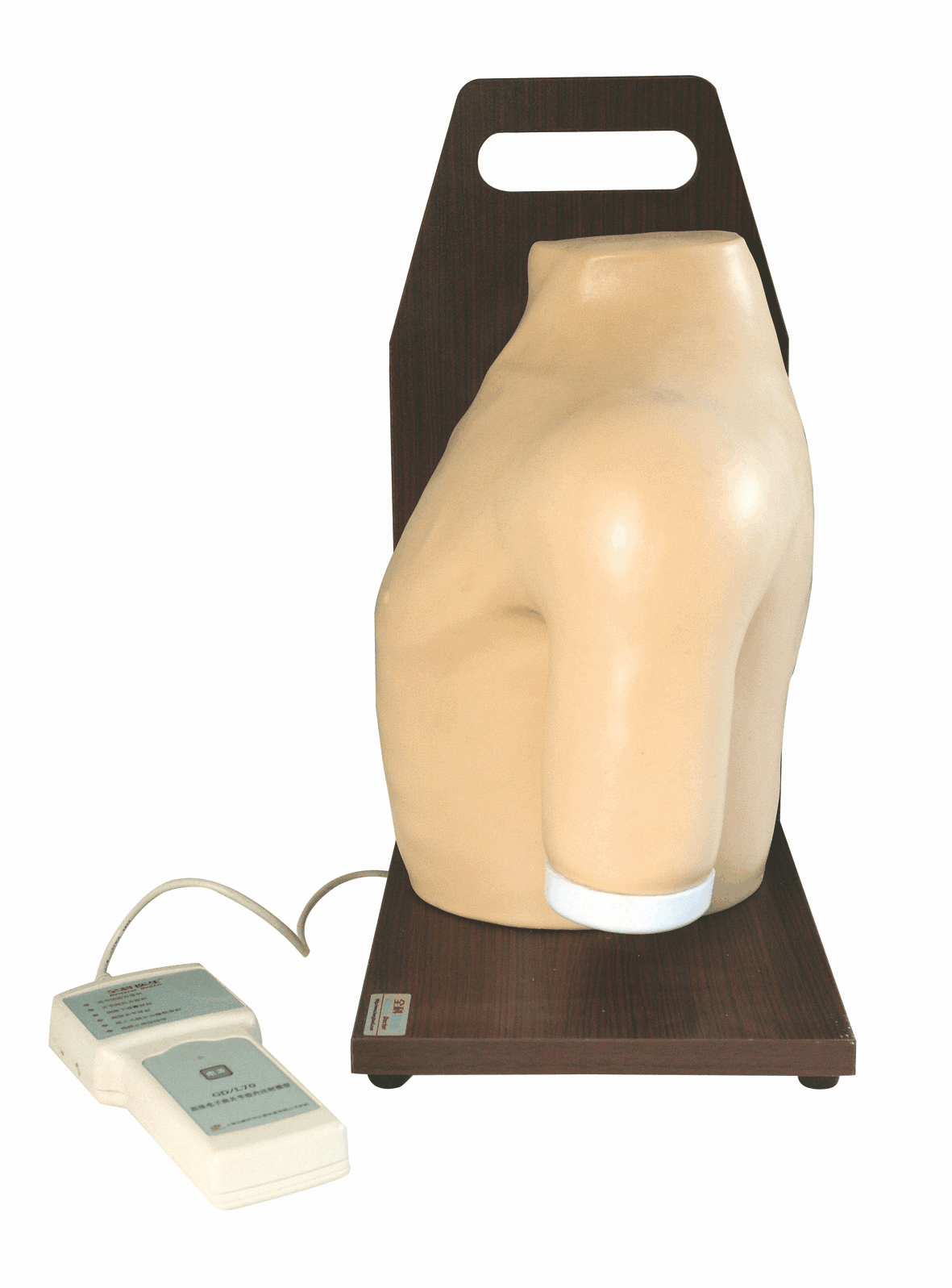 高级电子肩关节腔内注射模型GD/L70/穿刺模型