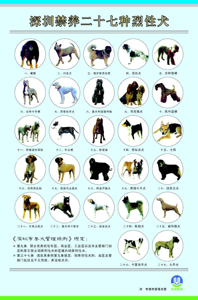 海报印制210海报展板素材（制作）5138深圳禁养27种烈性犬宣传栏