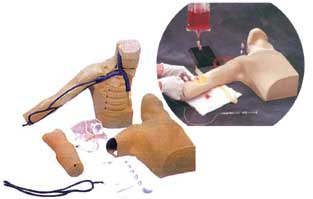 DF-ZV型 外周穿刺、中心静脉穿刺导管插入模型/穿刺训练模型