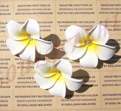 马尔代夫巴厘岛旅游发夹头饰鸡蛋黄花9cm海边度假花朵带珍珠发夹