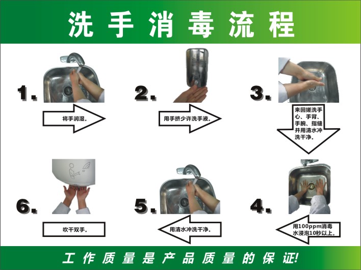 标准洗手消毒流程图 海报挂图 正确六步洗手方法 墙贴宣传贴画