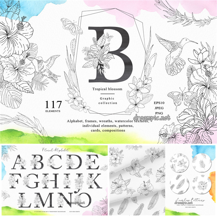 A0864矢量AI设计素材手绘清新花朵线稿纹样英文字母logo插画含PNG