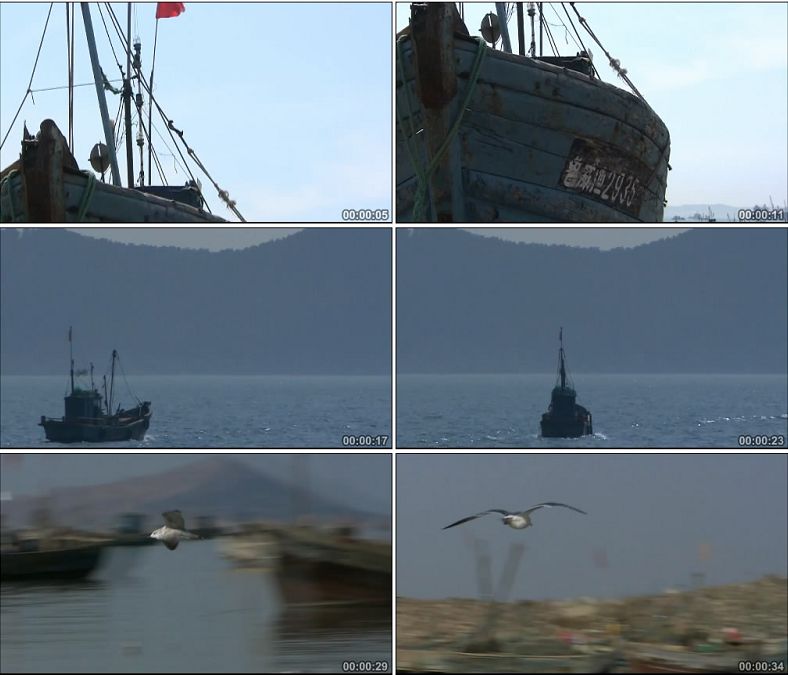 山东威海刘公岛渔船海鸥海鸟/中国高清实拍视频素材