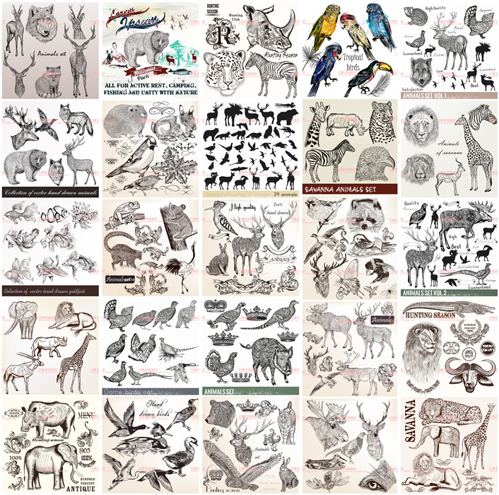 A0246矢量AI设计素材 复古非洲动物版画插画狮子眼镜蛇老虎斑马鸟